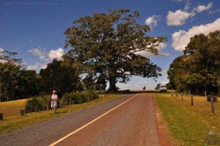 Gus Beutel Lookout and Walk.006 11h39m20s2020 09 14 Gus Beutel Lookout and Walk.006 11h39m20s2020 09 14