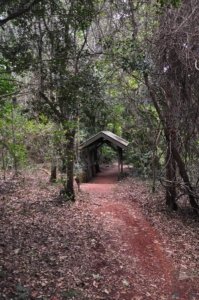 Gus Beutel Lookout and Walk.009 11h41m37s2020 09 14 Gus Beutel Lookout and Walk.009 11h41m37s2020 09 14