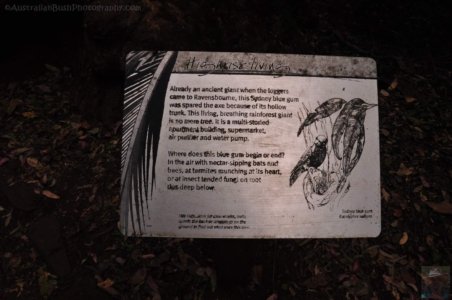 Gus Beutel Lookout and Walk.012 11h47m07s2020 09 14 Gus Beutel Lookout and Walk.012 11h47m07s2020 09 14