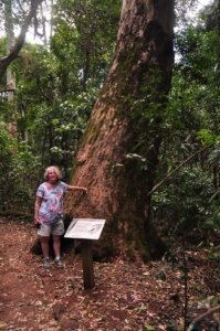 Gus Beutel Lookout and Walk.013 11h47m47s2020 09 14 Gus Beutel Lookout and Walk.013 11h47m47s2020 09 14