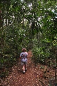 Gus Beutel Lookout and Walk.014 11h48m19s2020 09 14 Gus Beutel Lookout and Walk.014 11h48m19s2020 09 14