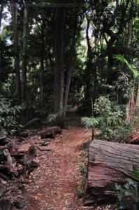 Gus Beutel Lookout and Walk.018 11h51m55s2020 09 14 Gus Beutel Lookout and Walk.018 11h51m55s2020 09 14