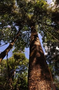 Gus Beutel Lookout and Walk.020 11h58m13s2020 09 14 Gus Beutel Lookout and Walk.020 11h58m13s2020 09 14