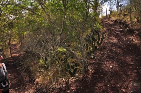 Mount Peel Toowoomba.024 15h02m12s2020 10 26 Mount Peel Toowoomba.024 15h02m12s2020 10 26