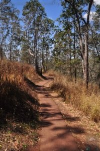 Picnic Point Toowoomba.002 11h38m49s2020 10 02 Picnic Point Toowoomba.002 11h38m49s2020 10 02