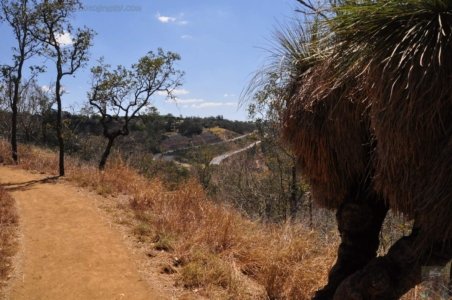 Picnic Point Toowoomba.015 12h20m18s2020 10 02 Picnic Point Toowoomba.015 12h20m18s2020 10 02