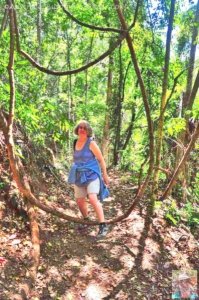 Rainforest and Palm Creek Circuits.021 11h12m14s2020 09 17 jpg Rainforest and Palm Creek Circuits.021 11h12m14s2020 09 17 jpg