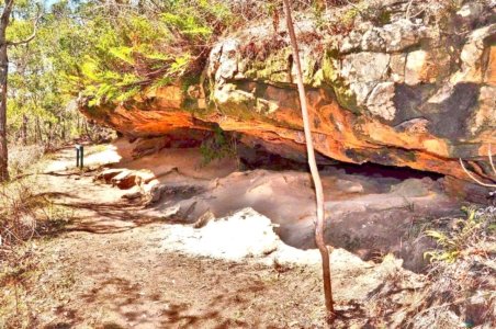 Rainforest and Palm Creek Circuits.052 12h03m06s2020 09 17 jpg Rainforest and Palm Creek Circuits.052 12h03m06s2020 09 17 jpg