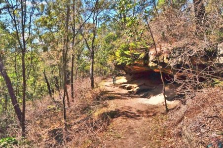 Rainforest and Palm Creek Circuits.053 12h03m18s2020 09 17 jpg Rainforest and Palm Creek Circuits.053 12h03m18s2020 09 17 jpg