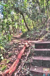 Rainforest and Palm Creek Circuits.083 12h49m14s2020 09 17 jpg Rainforest and Palm Creek Circuits.083 12h49m14s2020 09 17 jpg