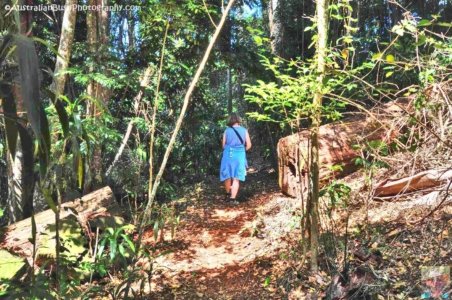 Rainforest and Palm Creek Circuits.086 12h54m32s2020 09 17 jpg Rainforest and Palm Creek Circuits.086 12h54m32s2020 09 17 jpg