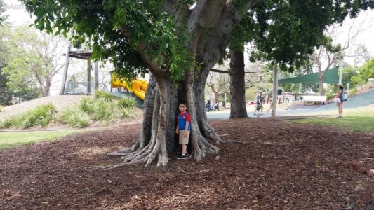 20201107 114510 20201107 114510