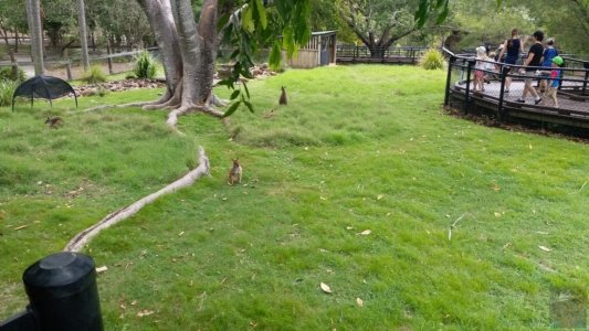 20201107 140757 20201107 140757