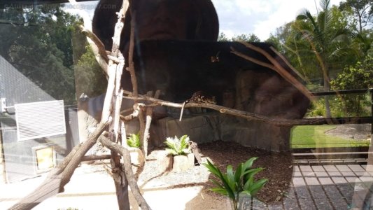 20201107 141117 20201107 141117