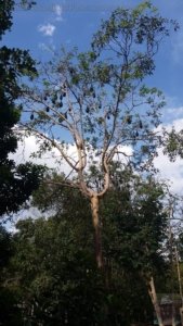 20201107 143649 20201107 143649