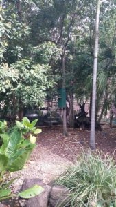 20201107 144949 20201107 144949