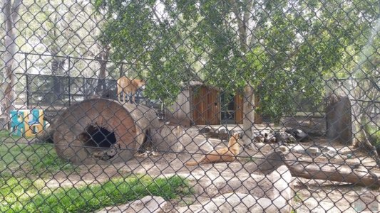 20201107 145556 20201107 145556