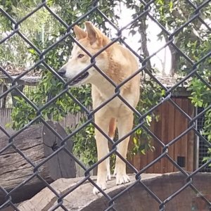 20201107 152301 20201107 152301