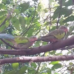 20201107 152451 20201107 152451