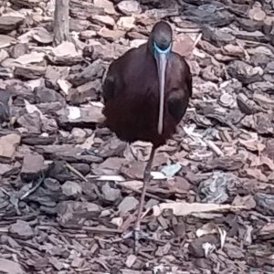 20201107 152815 20201107 152815