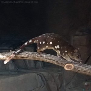 20201107 193330 20201107 193330