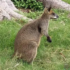 20201107 193431 20201107 193431