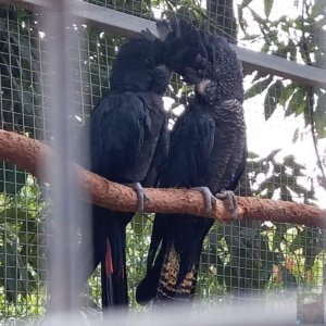 20201107 193707 20201107 193707