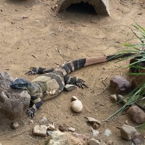 20201107 193829 20201107 193829