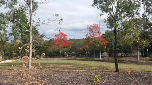 20201108 070923 20201108 070923