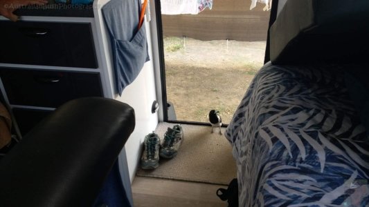 20201109 152713 20201109 152713