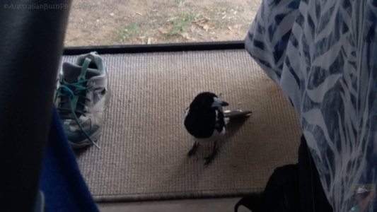 20201109 152915 20201109 152915