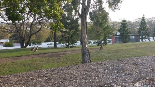 20201109 164220 20201109 164220