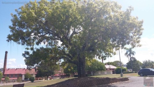 20201110 083909 20201110 083909