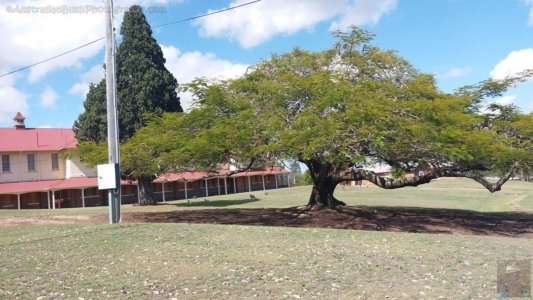 20201110 084023 20201110 084023