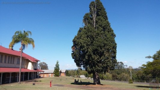 20201111 080517 20201111 080517