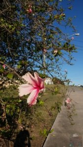 20201111 165432 20201111 165432