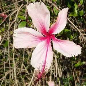 20201111 171833 20201111 171833