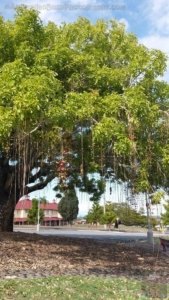 20201112 072219 20201112 072219