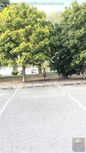 20201112 072410 20201112 072410