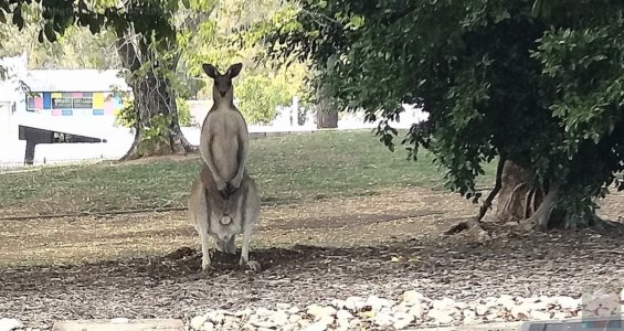 20201112 072410PZ 20201112 072410PZ