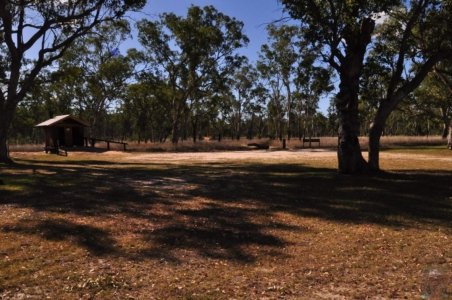Carnarvon NP Dargonelly Campground.001 15h56m08s2020 11 20