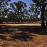 Carnarvon NP Dargonelly Campground.001 15h56m08s2020 11 20