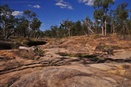 Carnarvon NP Dargonelly Campground.002 15h57m50s2020 11 20