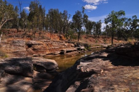 Carnarvon NP Dargonelly Campground.003 15h58m10s2020 11 20