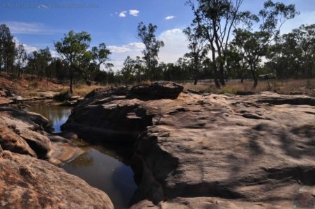 Carnarvon NP Dargonelly Campground.004 15h58m53s2020 11 20 1