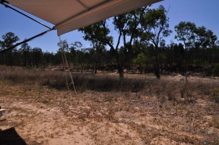 Carnarvon NP Dargonelly Campground.006 08h54m21s2020 11 21