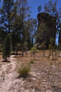 Carnarvon NP Lots Wife.002 10h52m43s2020 11 21
