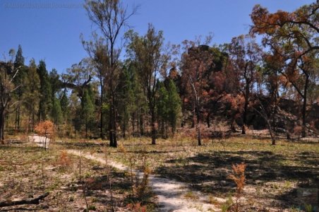 Carnarvon NP Marlong Arch.002 09h46m20s2020 11 21