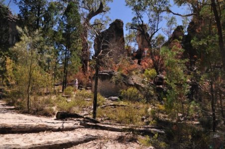 Carnarvon NP Marlong Arch.013 09h54m44s2020 11 21
