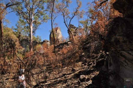 Carnarvon NP Marlong Arch.019 09h58m38s2020 11 21
